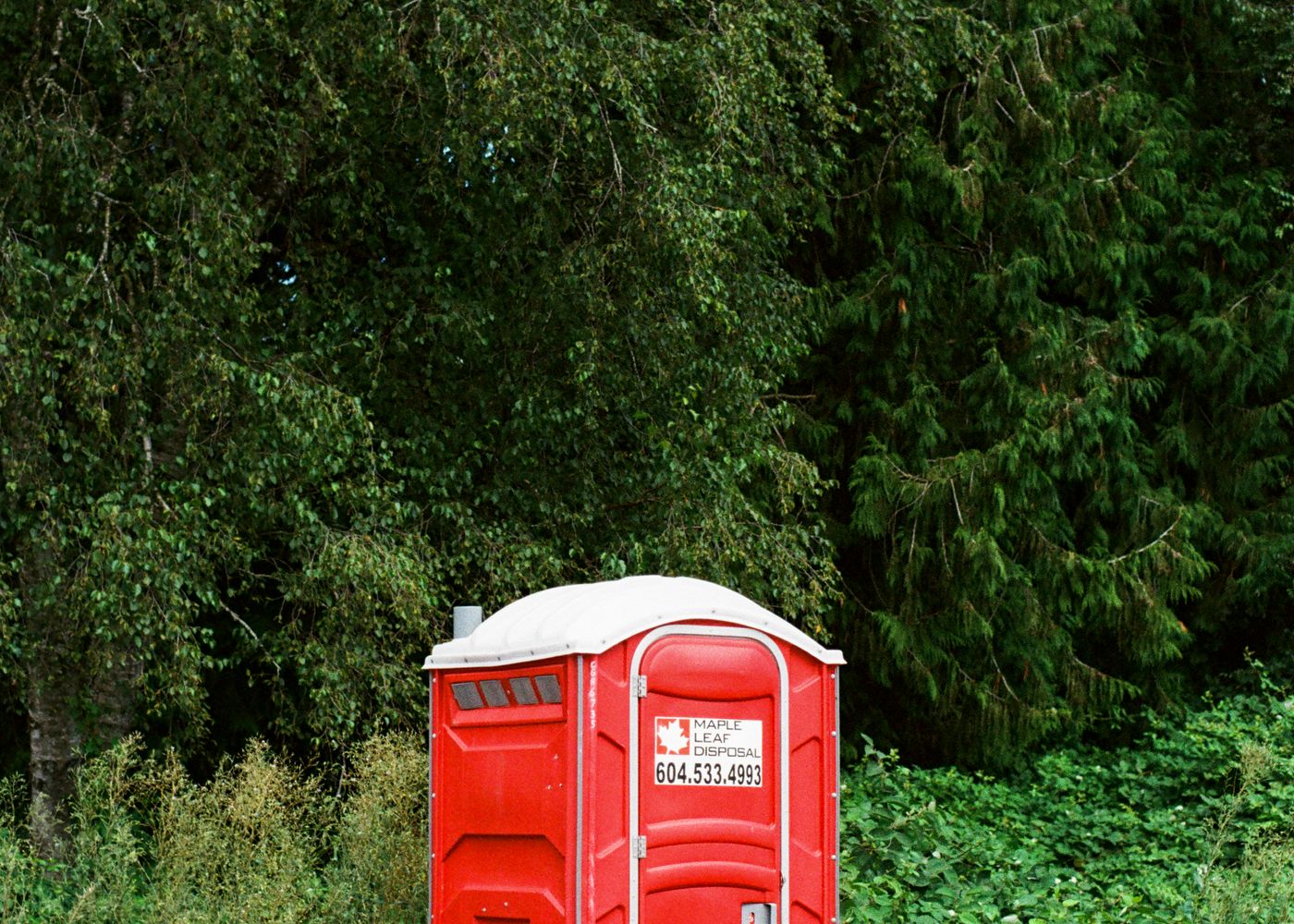 A red portable toilet placed in a forest clearing
